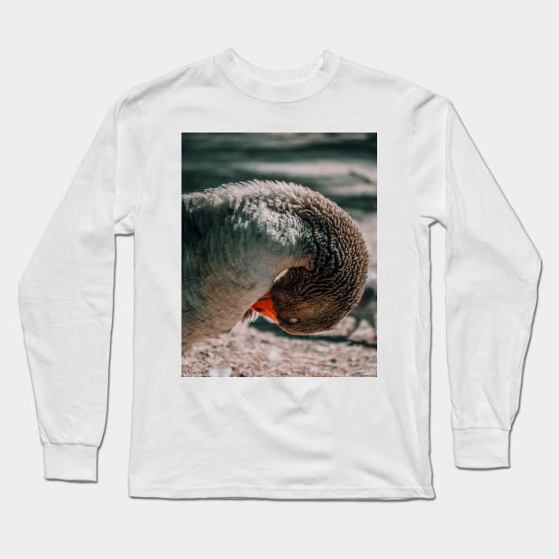 Lake Goose Wildlife Nature Photography Long Sleeve T-Shirt by Luigi Veggetti